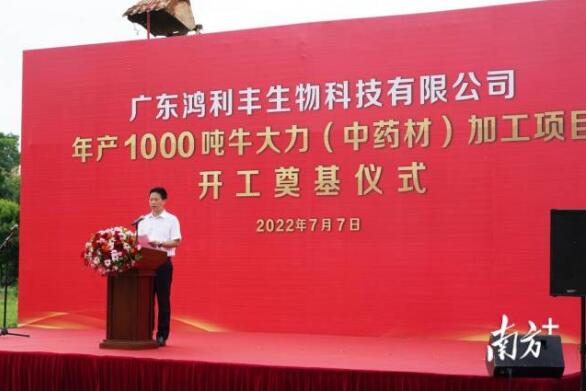 年產(chǎn)1000噸！牛大力（中藥材）加工項(xiàng)目在興寧開(kāi)工奠基